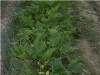 cda55984-Picture 028.jpg